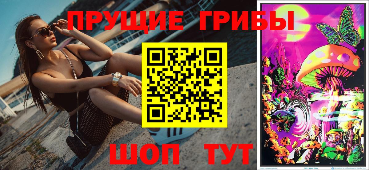 Ессентуки  Псилоцибиновые грибы прущие грибы  Вход с VPN 